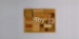 Toy